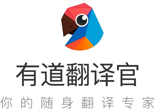 2026年网易有道翻译的“网页端图片翻译”最大支持一次性批量上传多少张高清JPG?