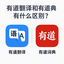 有道翻译桌面版支持在企业局域网环境下通过代理服务器登录吗?