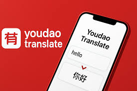 如何在有道翻译官网找到历届奥斯卡金像奖的最佳英文字幕?